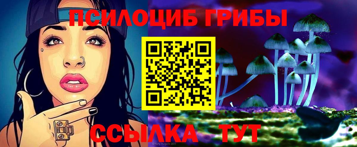 Псилоцибиновые грибы Psilocybine cubensis  Вход с VPN  Знаменск 
